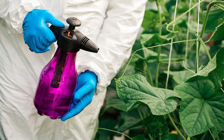 Biopesticides